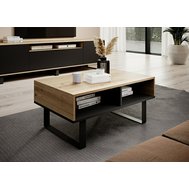Konferenční stolek Logan - dub artisan / černá