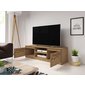Dingo 120 cm – moderní TV stolek v dekoru kaštan