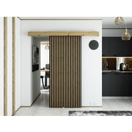 Interiérové posuvné dveře Modern I s tichým dovíráním - černá / dub artisan
