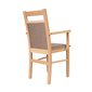 Jídelní židle F6 s područkami - buk / Inari 23 - 03