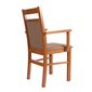 Jídelní židle F6 s područkami - olše / Etna 24 - 03