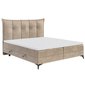 Manželská čalouněná postel Foxy - 160 x 200 cm - 04