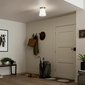 Elegantní stropní svítidlo Albers – šampaňská bronzová, opálové sklo 07