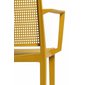 Elegantní židle Grid Armchair s područkami - hořčicově žlutá - 05